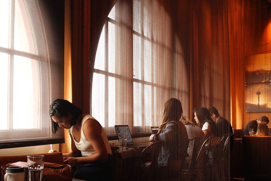 woman using her laptop, person, human, people, cafe, restaurant HD wallpaper