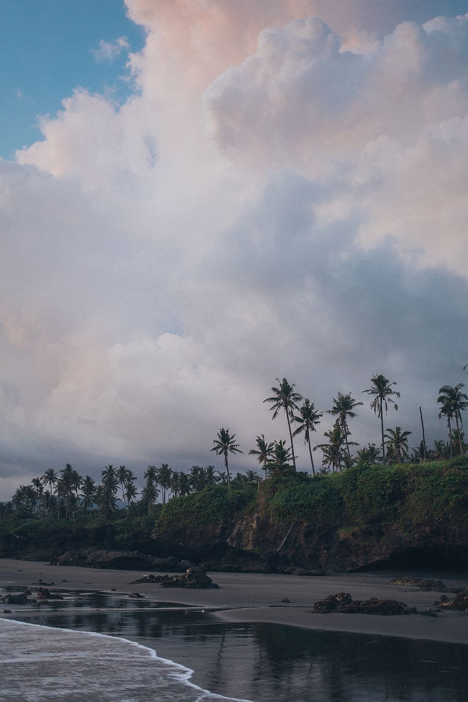 Coconut Trees Near Body of Water, beach, clouds, coast, coastline HD wallpaper