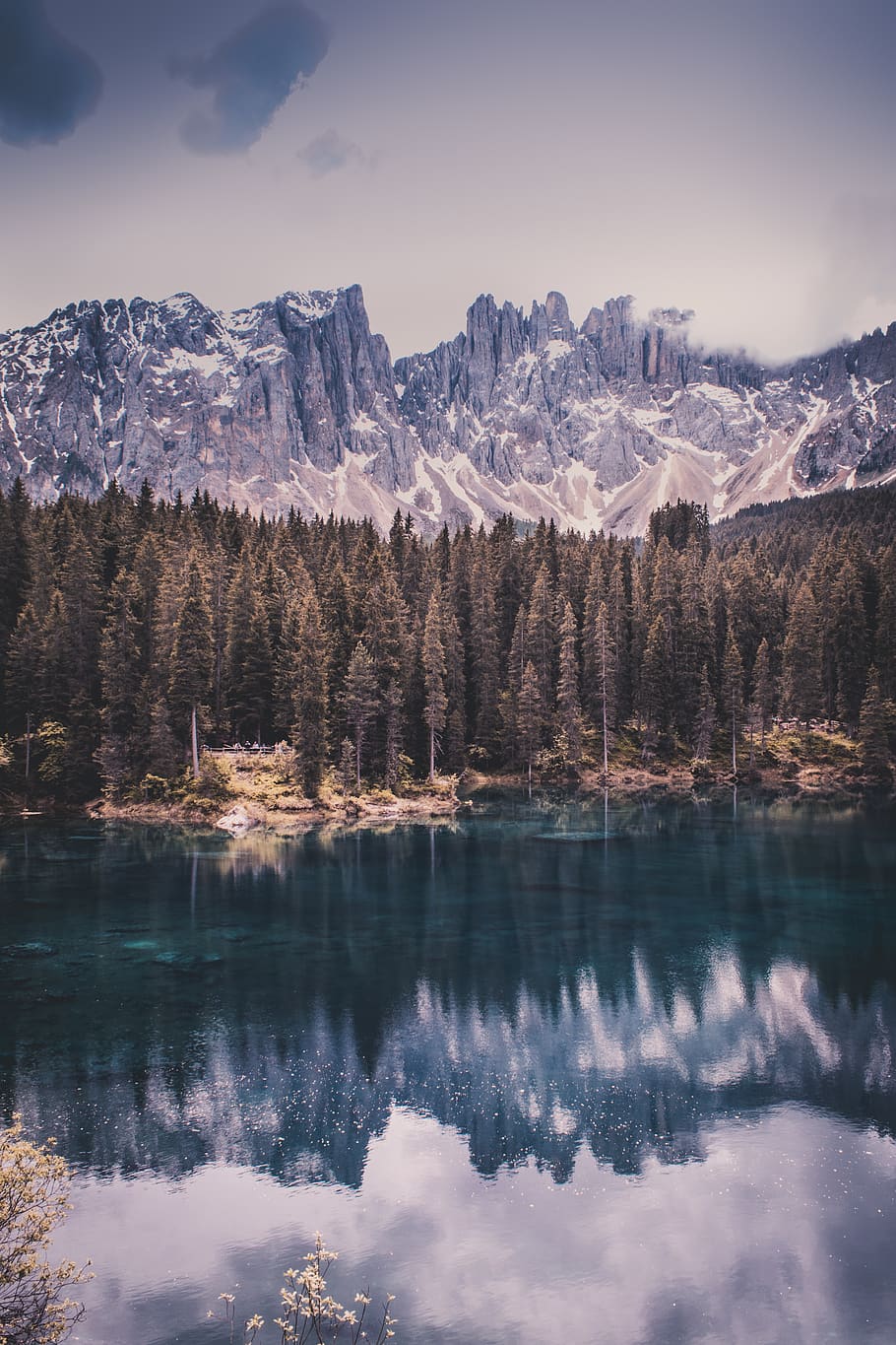 Karersee Lake, adventure, cold, conifer, dawn, dolomites, environment HD wallpaper