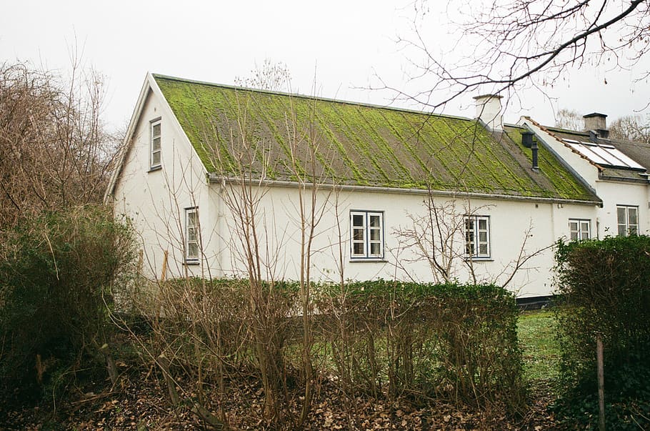 white building, housing, cottage, plant, grass, nature, outdoors, HD wallpaper