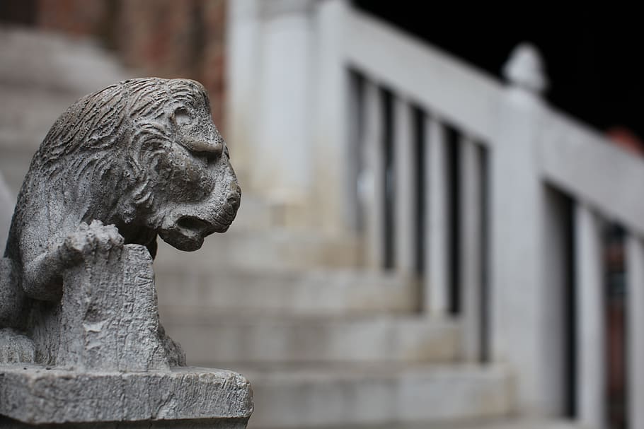Selective Focus Photography of Gray Concrete Lion Head Stairs Decoration at Daytime HD wallpaper