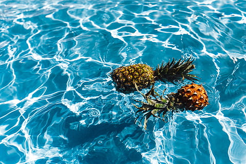 Pineapple in a swimming pool, day, summer, water, copyspace, fruits HD wallpaper