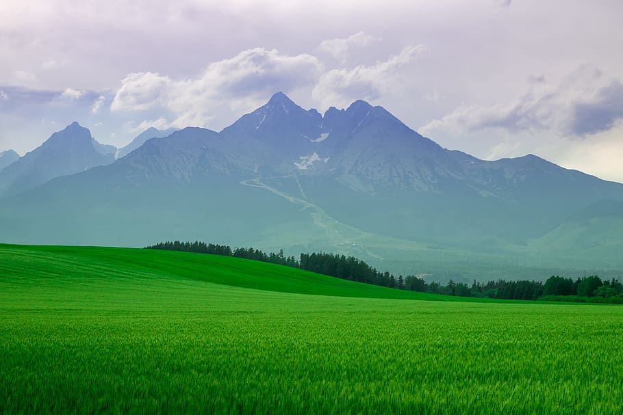 Landscape high mountains. Landscape in the fields at night., scenics - nature HD wallpaper