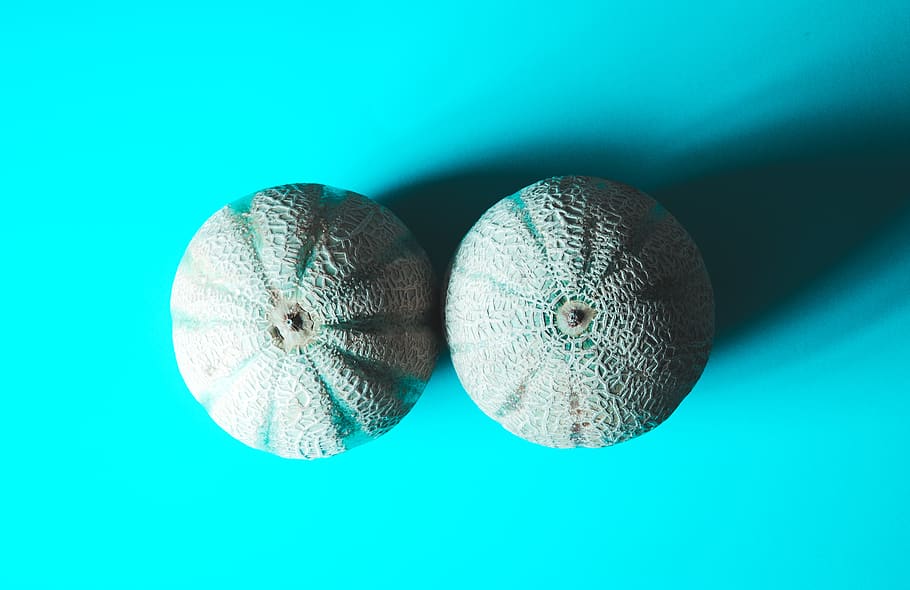 two grey fruits, blue, colored background, indoors, studio shot HD wallpaper