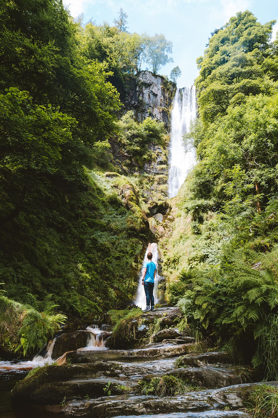 summer, lush, green, greenery, man, standing, nature, beauty HD wallpaper