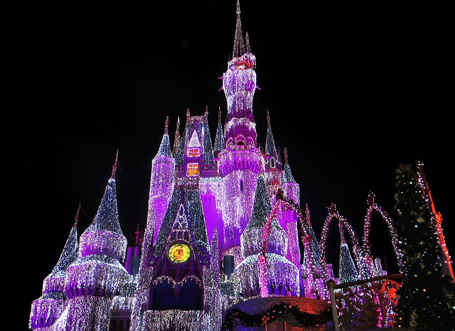 Pink White and Purple Light-up Disneyland Castle, architecture HD wallpaper