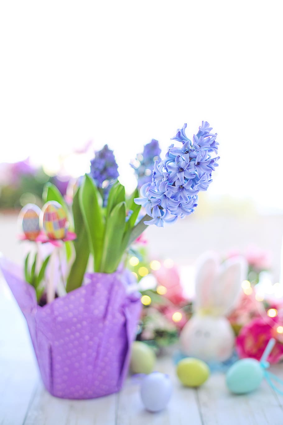 easter, hyacinth, purple, eggs, flowers, spring, nature, blossoms HD wallpaper