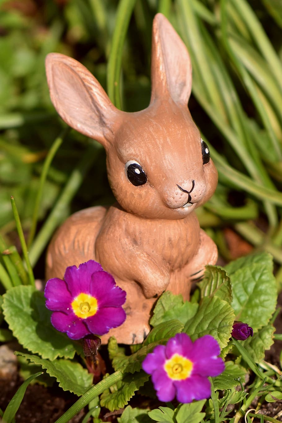 easter, easter bunny, hare, osterkarte, easter greeting, greeting card HD wallpaper