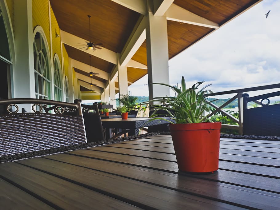 plant, resort, restaurant, table, potted plant, nature, architecture HD wallpaper