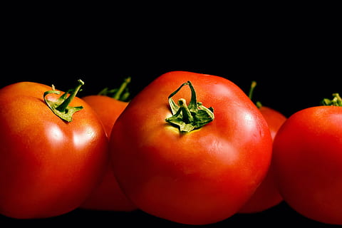 tomato, black, background, closeup, isolated, vegetarian, produce HD wallpaper