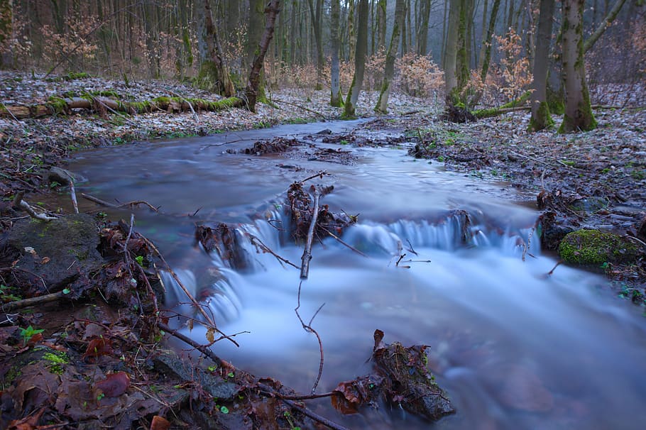 bach, long term, flow, nature, river, long exposure, shrubs HD wallpaper