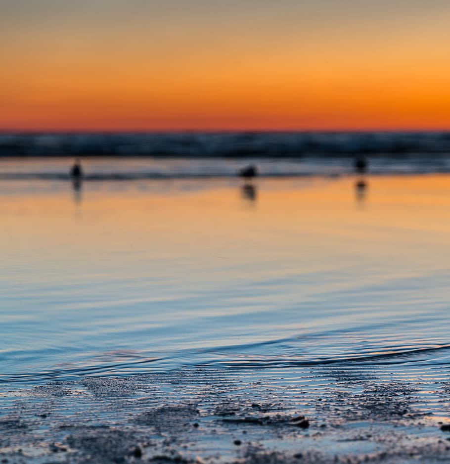 Scenic View of the Beach, dawn, dusk, idyllic, landscape, nature HD wallpaper