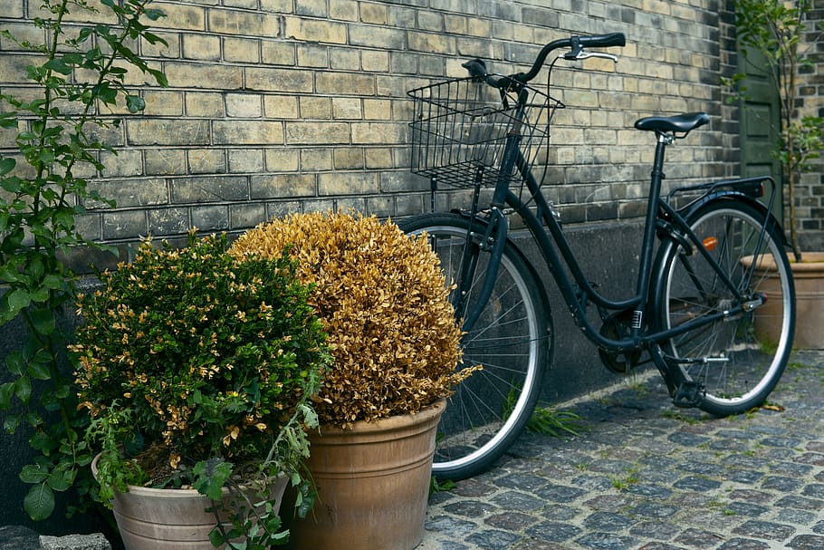 Black Commuters Bike Near to Plant Pots, bicycle, bricks, color HD wallpaper