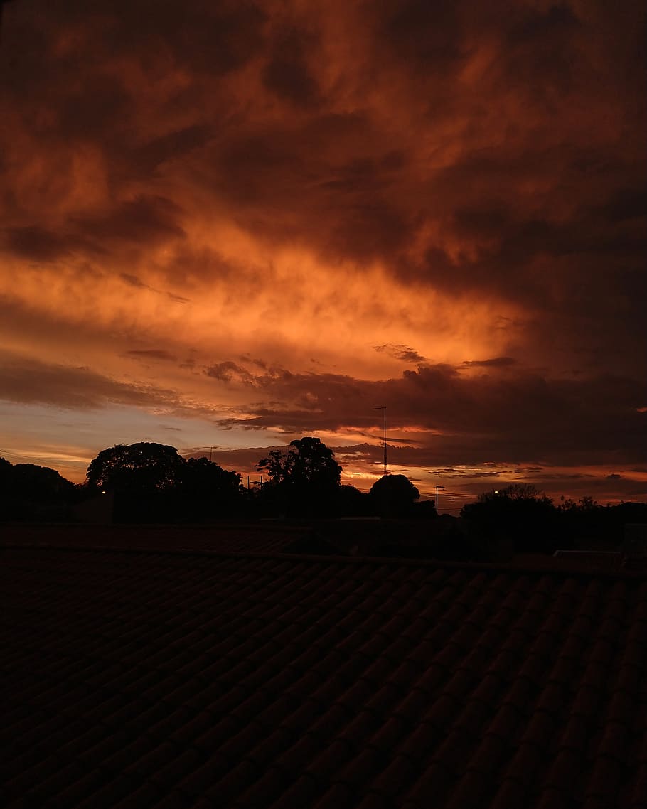 brazil, trees, sky, moring, orange, sunrise, sunset, fire, cloud - sky HD wallpaper
