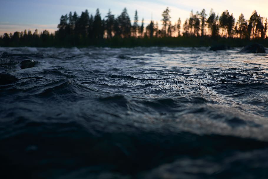 body of water, tree, wave, sea, ocean, lake, river, sunset, sunrise HD wallpaper
