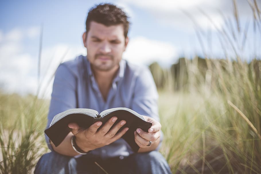 book, grass, knowledge, leisure, man, person, reading, young adult HD wallpaper