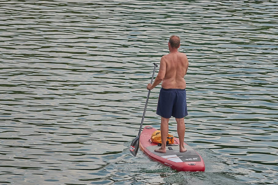 paddle, rowing, stand, river, water, sport, helm, leisure, summer