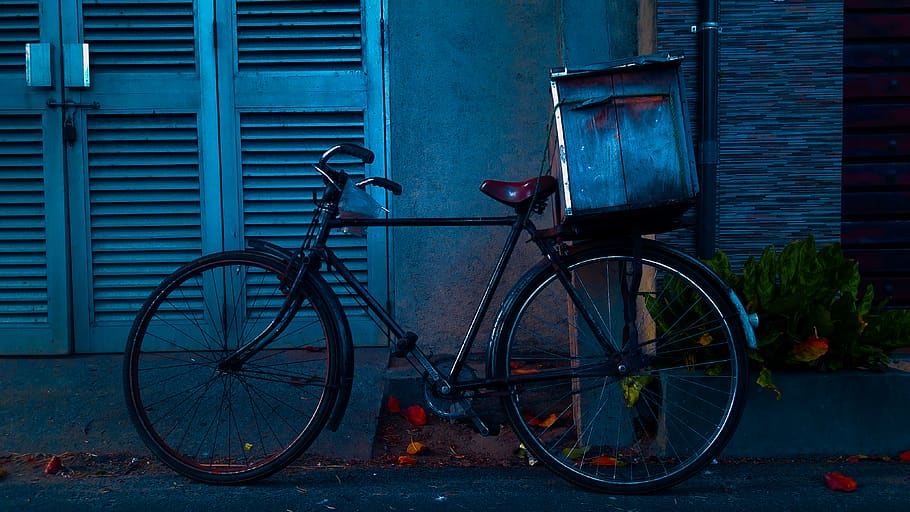 black fixie, plant, jar, vase, pottery, potted plant, flora, bicycle HD wallpaper