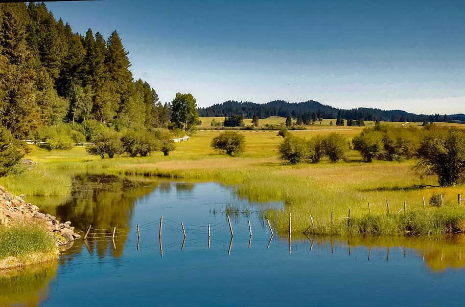 united states, cascade, tree, water, plant, scenics - nature HD wallpaper
