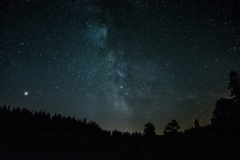 silhouette of trees during night time, forest, star, sky, dark HD wallpaper