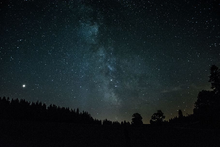 Starry sky in the forest, forest, stars, 1366x768, sky, HD wallpaper