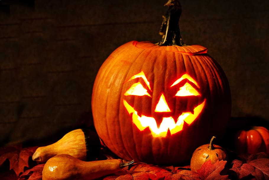jack-o-lantern, lit, pumpkin, carved pumpkin, halloween, orange, HD wallpaper