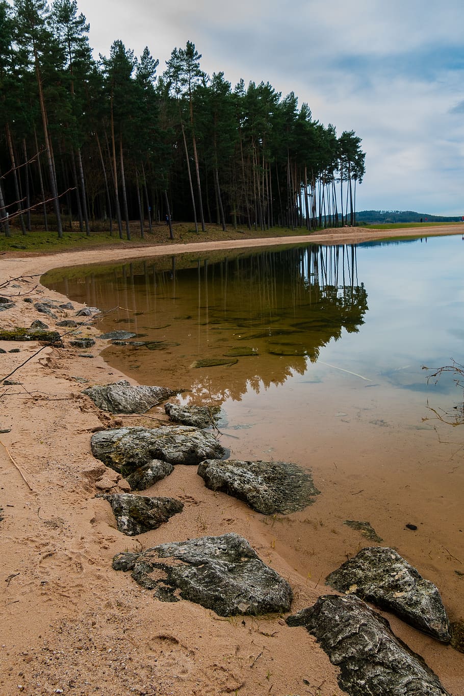 water, mirroring, forest, tree, stones, rock, beach, nature HD wallpaper