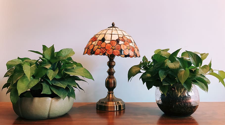leaf, plant part, table, indoors, lighting equipment, nature HD wallpaper