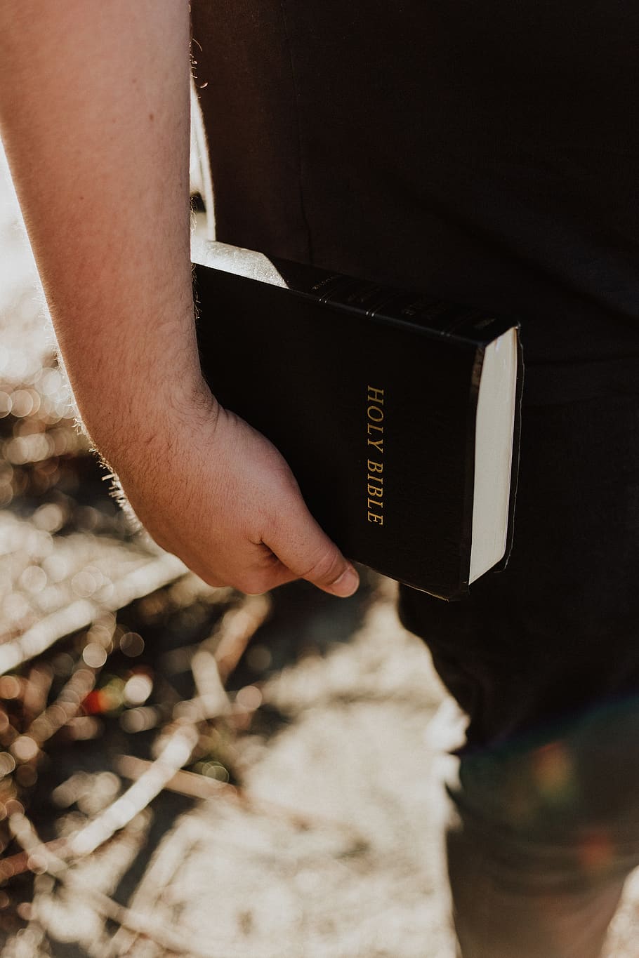 Holy Bible, human hand, human body part, holding, people, men HD wallpaper