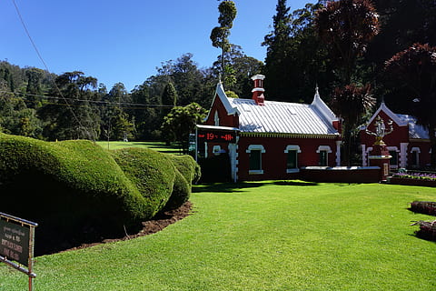 india, coimbatore, ooty, plant, tree, grass, architecture, built structure HD wallpaper