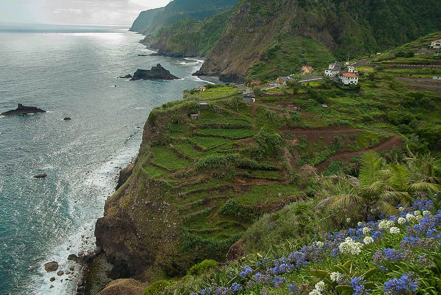 madeira, cliffs, portugal, atlantic, water, beauty in nature HD wallpaper