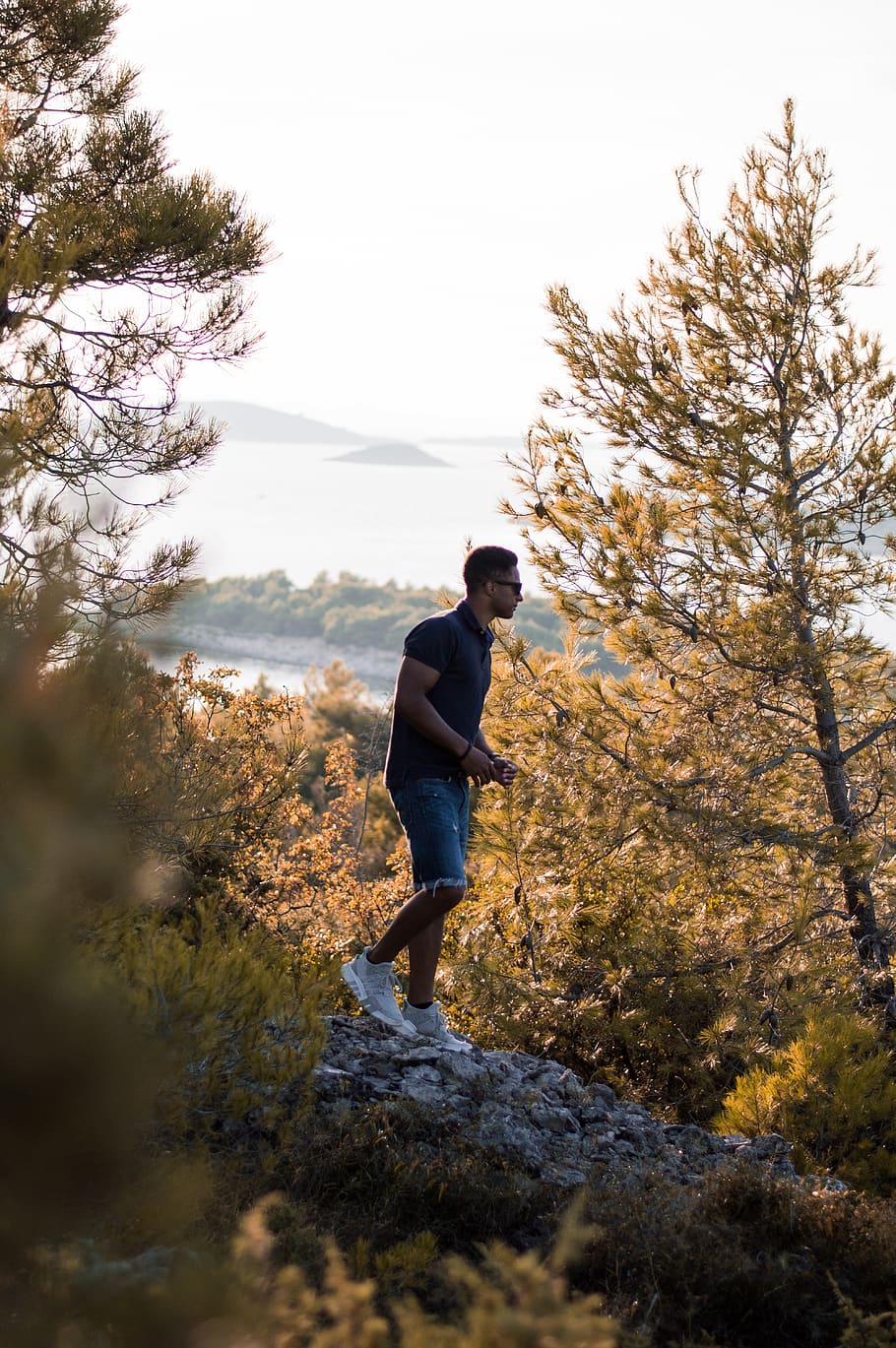 person standing on cliff, human, plant, tree, clothing, apparel HD wallpaper