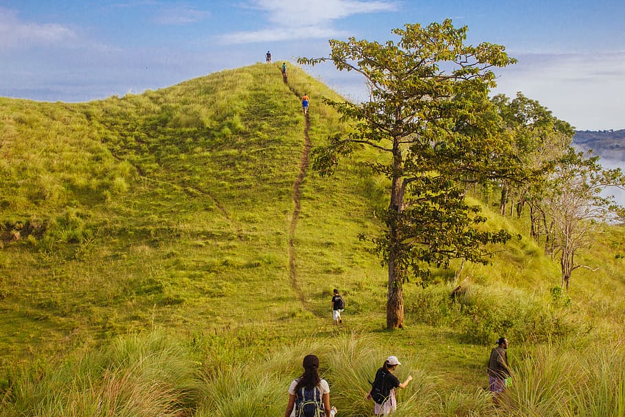 danao, philippines, trees, grass, sky, blue, hills, people HD wallpaper