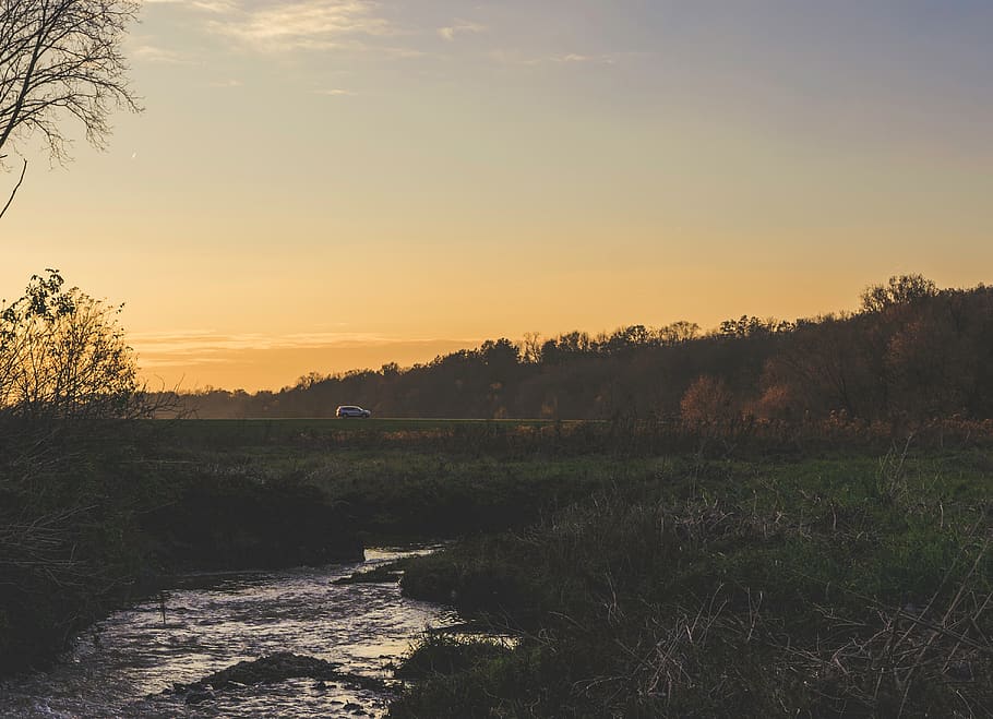 green trees beside river, nature, outdoors, sky, land, dawn, red sky HD wallpaper
