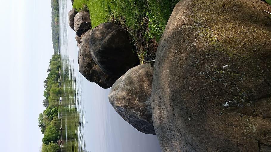 river, rocks, summer, grass, trees, water, plant, day, nature HD wallpaper