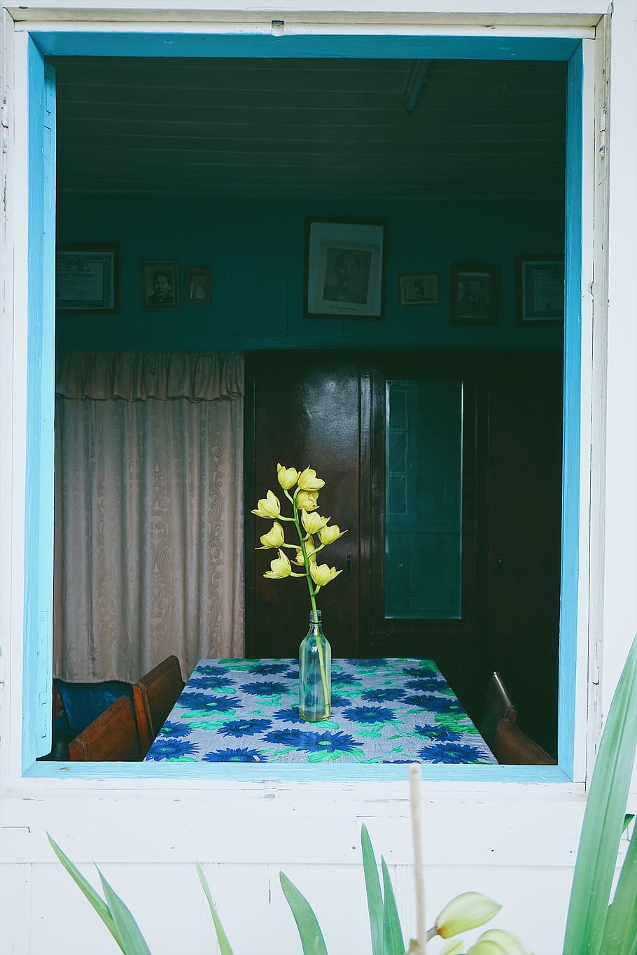 window, flower, plant, flowering plant, no people, vase, nature HD wallpaper