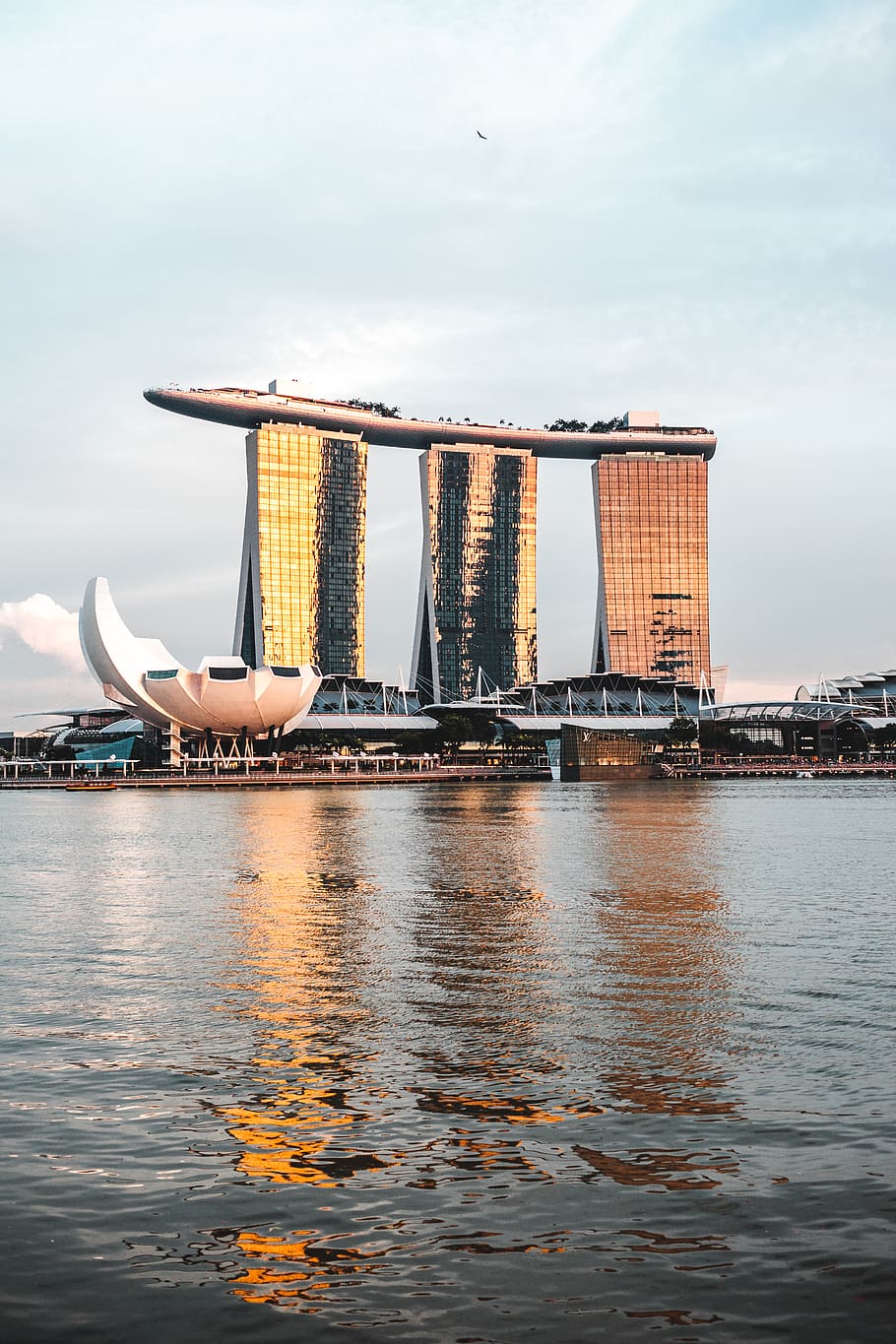 brown concrete building, water, housing, condo, waterfront, urban HD wallpaper