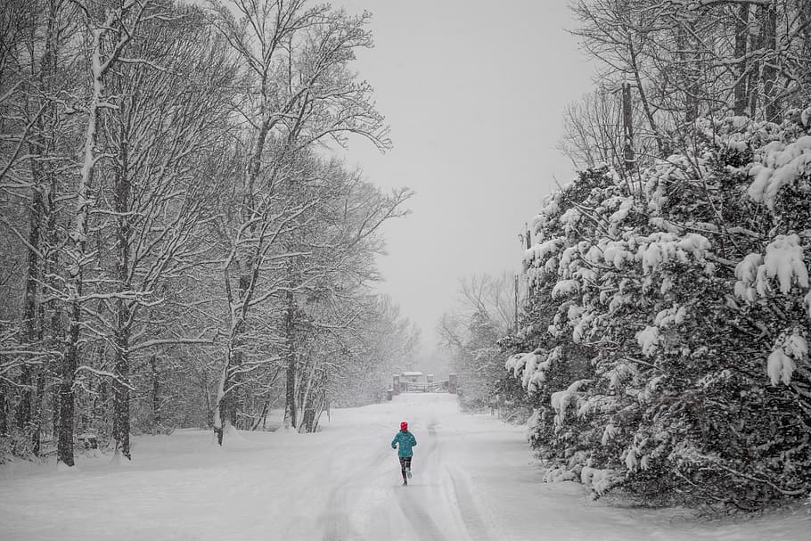 person jogging on snow capped pathway, cold temperature, winter HD wallpaper