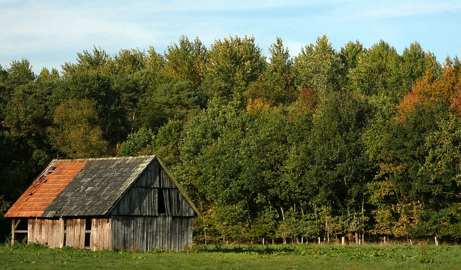 stall, hut, crate, scale, barn, forest, meadow, field, autumn HD wallpaper