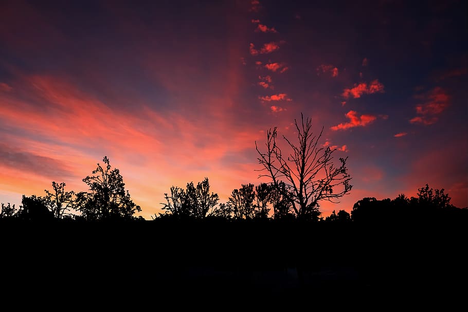 sunset, silhouette, trees, nature, dusk, sky, landscape, evening HD wallpaper