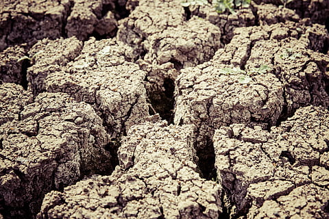 Gray Dry Soil in Macro Shot Photography, arid, barren, degradation HD wallpaper