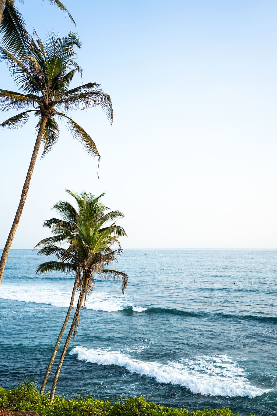 ocean waves on island with trees, sea, tropical climate, sky HD wallpaper