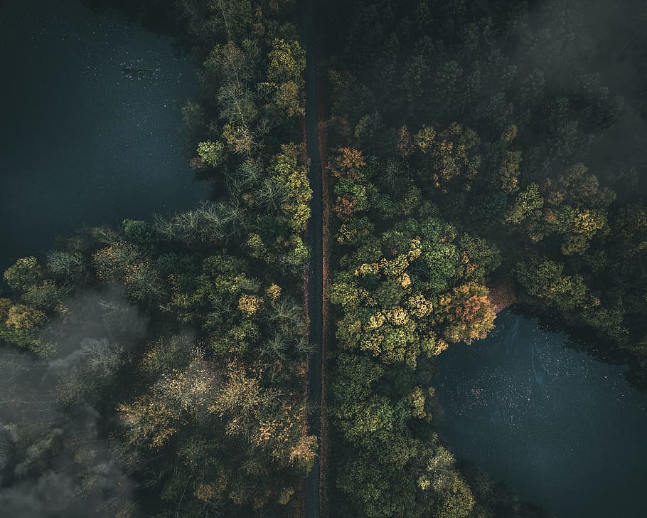 aerial photography of concrete road between trees and blue body of water