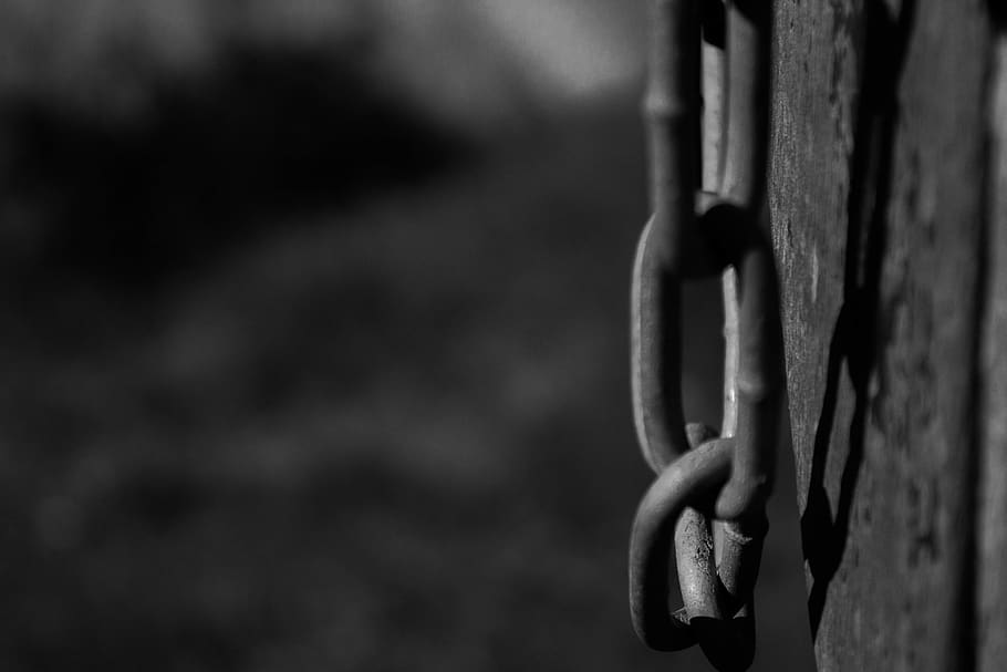 chain, nature, black, white, black and white, reflection, shadow, HD wallpaper