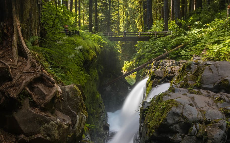 sol duc falls, united states, trees, nationa park, nps, waterfall