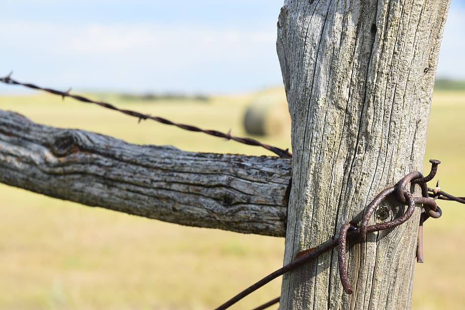 fence, post, landscape, wood, field, old, meadow, wire, barrier HD wallpaper