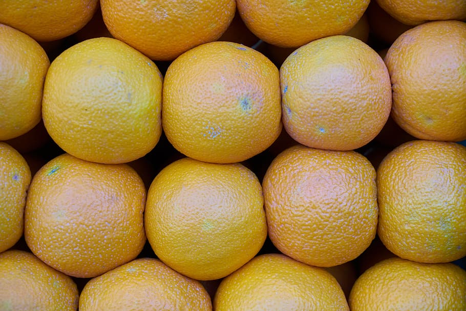 Orange Fruits, beautiful, bright, citrus, citrus fruit, close-up HD wallpaper