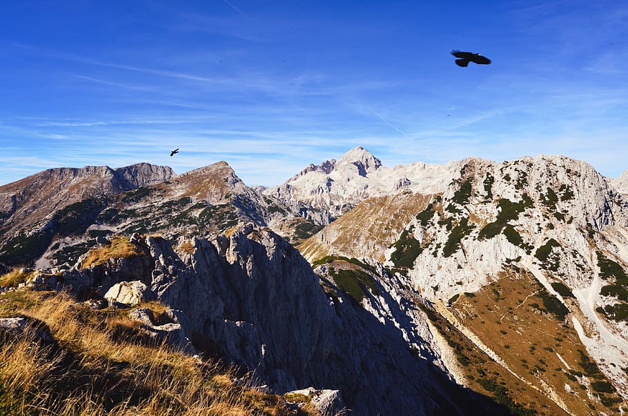 mountain, eagle, grass, snow, landscape, nature, lonely, cloud HD wallpaper