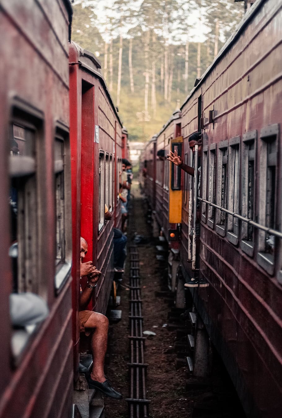 person seated on train, mode of transportation, public transportation HD wallpaper