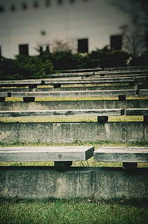 canada, benches, grass, grassy, campus, green, sit, sitting HD wallpaper